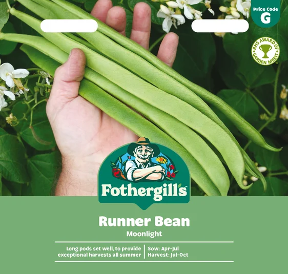 Runner Bean Moonlight