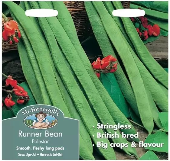 Runner Bean Polestar