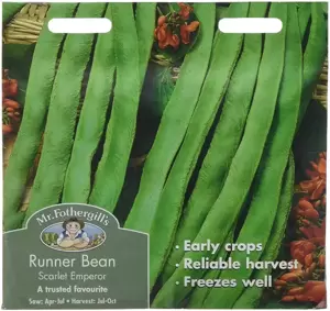 Runner Bean Scarlet Emperor - image 1