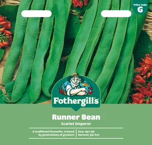Runner Bean Scarlet Emperor
