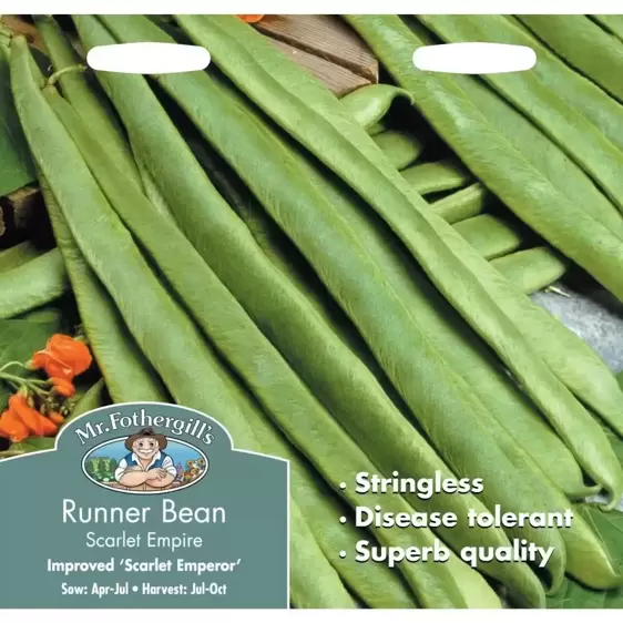 Runner Bean Scarlet Empire (Stringless)