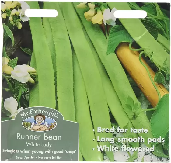 Runner Bean White Lady - image 1