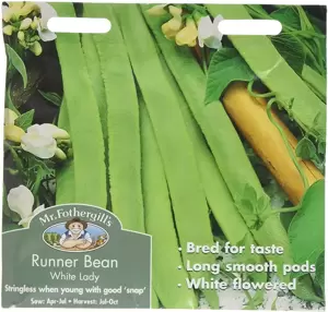 Runner Bean White Lady - image 1