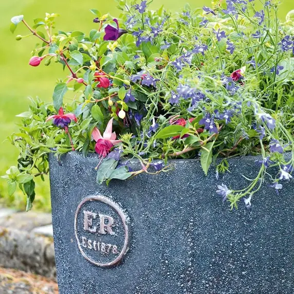 Rustic Graphite Cylinder Planter Ø30cm - image 2