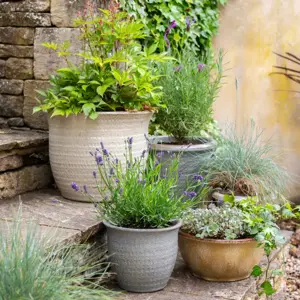 Rustica Cream Planter Ø23cm - image 2