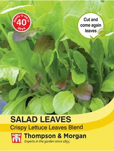 Salad Leaves - Crispy Lettuce Blend - image 2