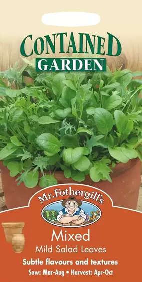 Salad Leaves - Mild Mixed - image 1