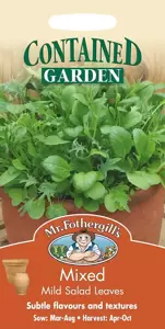 Salad Leaves - Mild Mixed - image 1