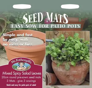 Salad Leaves - Spicy Mix Seed Mat - image 1