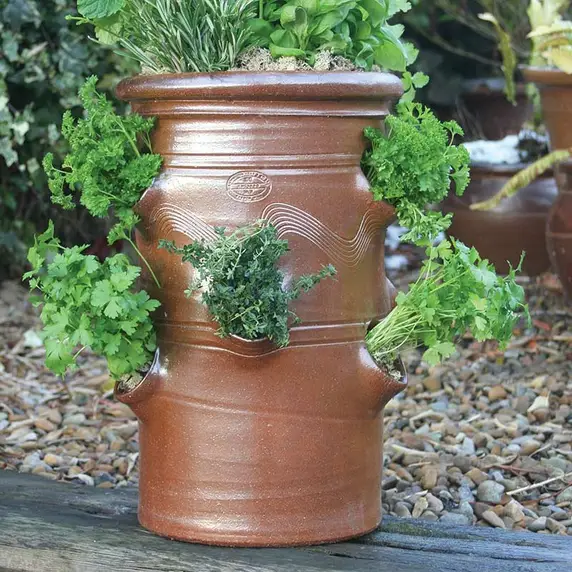 Salt Glazed Herb Pot - Medium - image 2