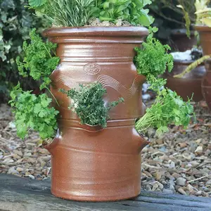 Salt Glazed Herb Pot - Medium - image 2