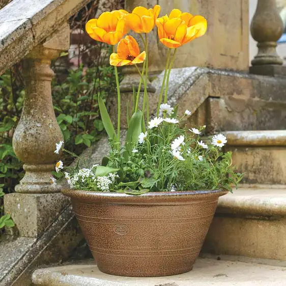 Salt Glazed Low Bowl Planter Ø45cm - image 2