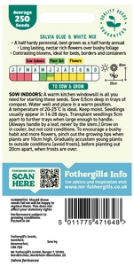 Salvia Blue & White Mixed Seeds - image 2