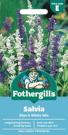 Salvia Blue & White Mixed Seeds - image 1