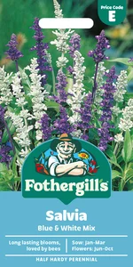 Salvia Blue & White Mixed Seeds - image 1