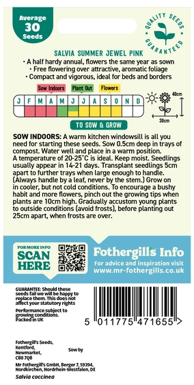Salvia Summer Jewel Pink - image 2