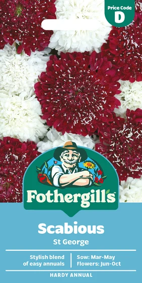 Scabious St George - image 1