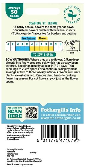 Scabious St George - image 2