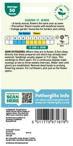 Scabious St George - image 2