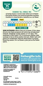 Scabious Tall Double Mixed Seeds - image 2