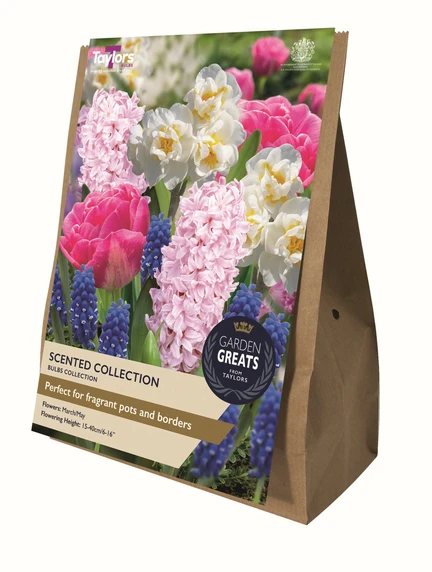 Scented Collection