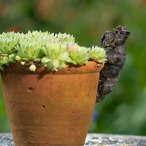 Schnauzer Pot Buddy - image 1