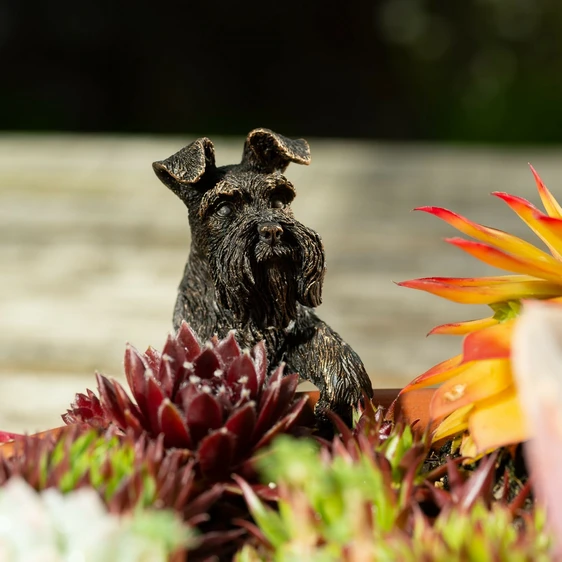 Schnauzer Pot Buddy - image 3