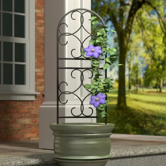 Scroll Pot Trellis - image 1