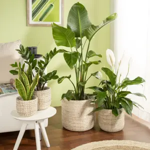 Seagrass White Basket Planter Ø17cm - image 2