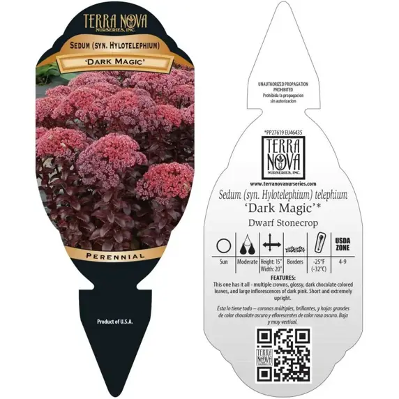 Picture Credit - TERRA NOVA® Nurseries, Inc.