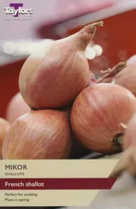 Shallot Mikor