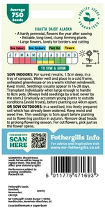 Shasta Daisy Alaska - image 2