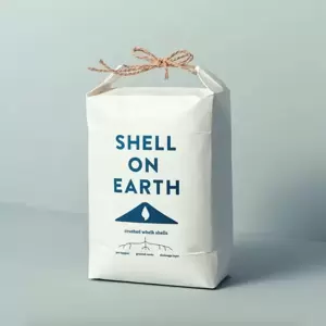 Shell on Earth - Small - image 1