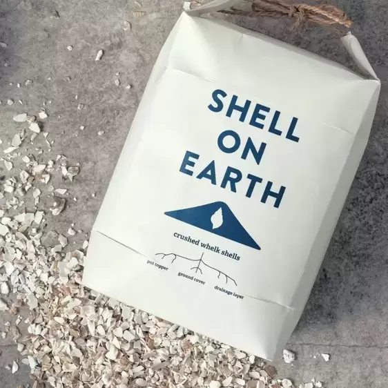 Shell on Earth - Small - image 2