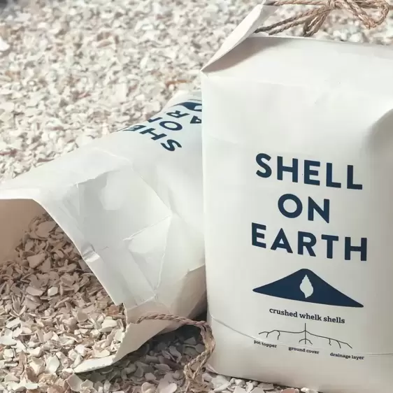 Shell on Earth - Small - image 3