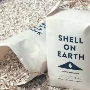 Shell on Earth - Small - image 3