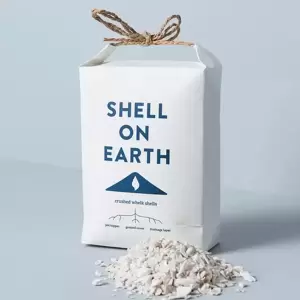 Shell on Earth - Mini - image 2