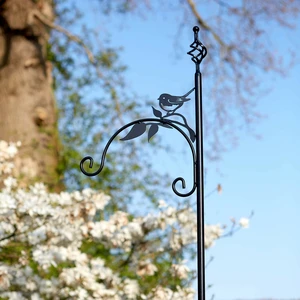 Shepherds Crook - Bird
