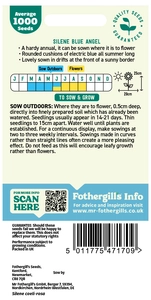 Silene Blue Angel Seeds - image 2