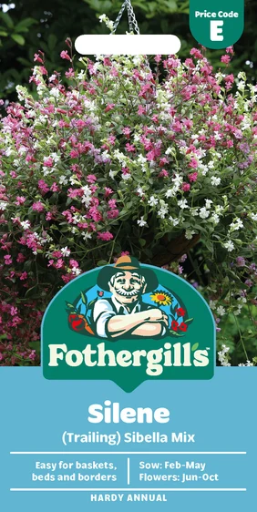 Silene Sibella Mix (Trailing) - image 1