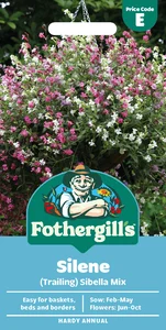 Silene Sibella Mix (Trailing) - image 1