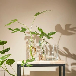 Skipp Terrarium Bottle - image 2
