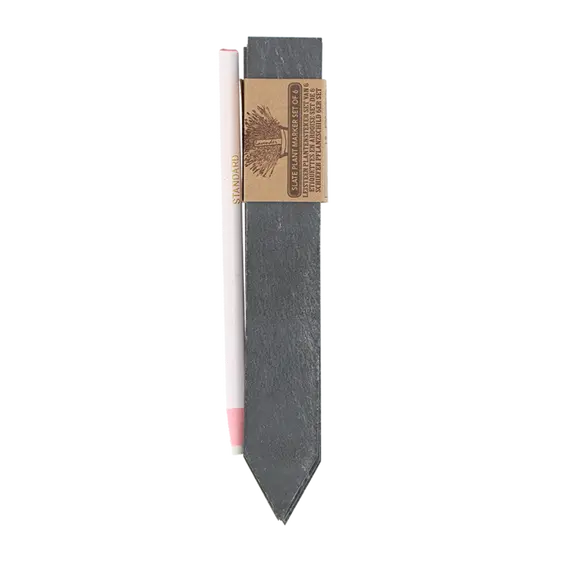 Slate Plant Label Set - image 2