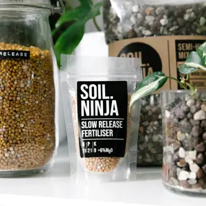 Slow-Release Fertiliser 100g - image 1