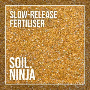 Slow-Release Fertiliser 100g - image 2