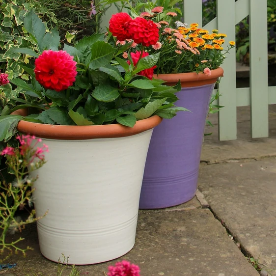 Smith & Jennings Cream Kitchen Planter - Small