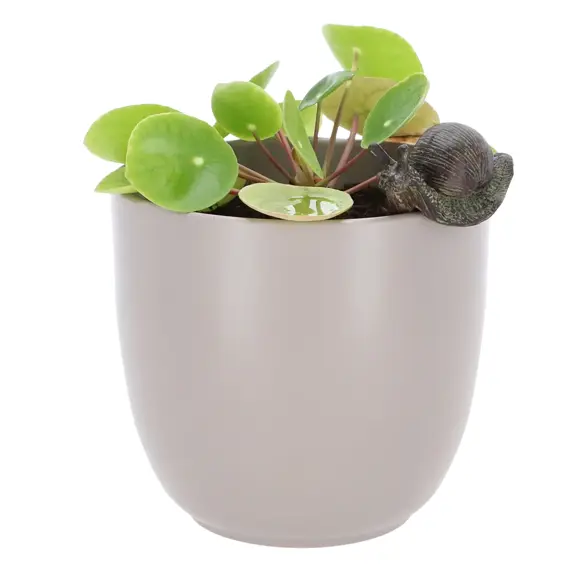 Snail Pot Hanger - image 1