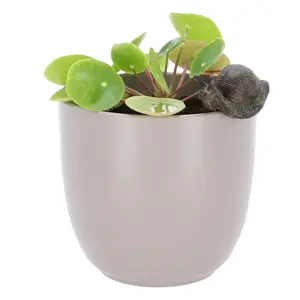 Snail Pot Hanger - image 1