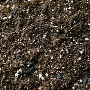 Soil Ninja Fern Soil Mix Blend 2.5L - image 1