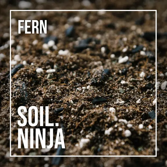 Soil Ninja Fern Soil Mix Blend 2.5L - image 2